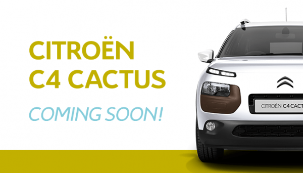 C4 CACTUS COMING SOON！