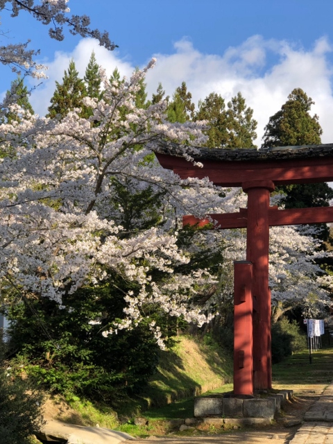 弘前・青森