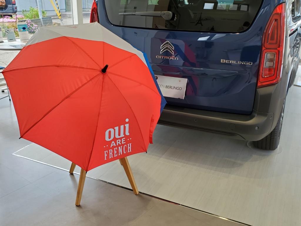 PARAPLUIE OUI ARE FRENCH!!