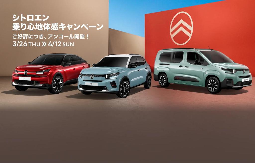 NEWアイテムのご紹介✨